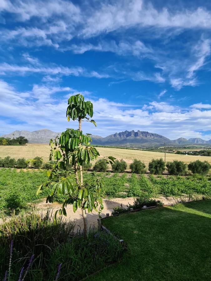Vineyard Cottage At Bosman Wines Wellington Exterior foto