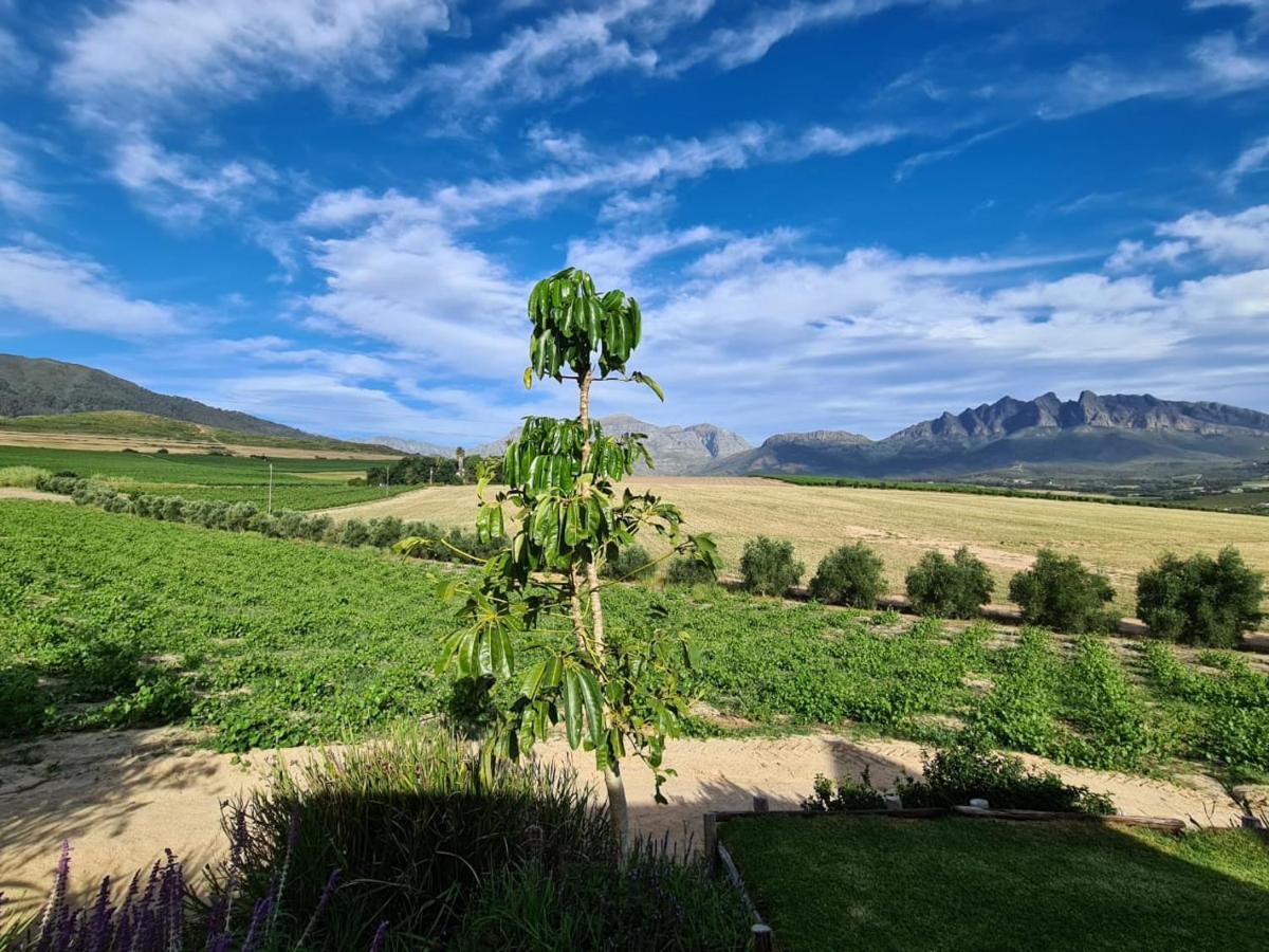 Vineyard Cottage At Bosman Wines Wellington Exterior foto