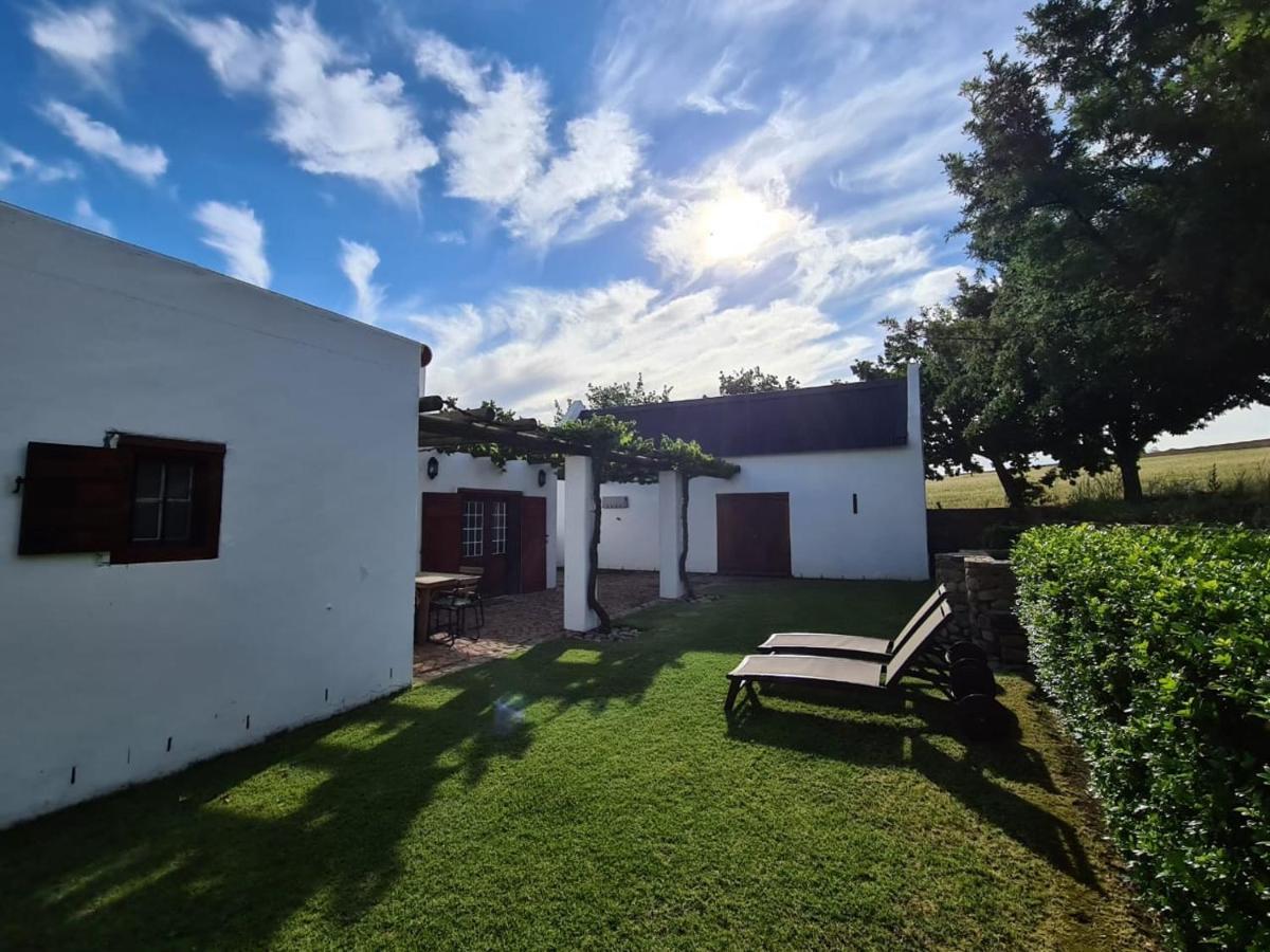 Vineyard Cottage At Bosman Wines Wellington Exterior foto