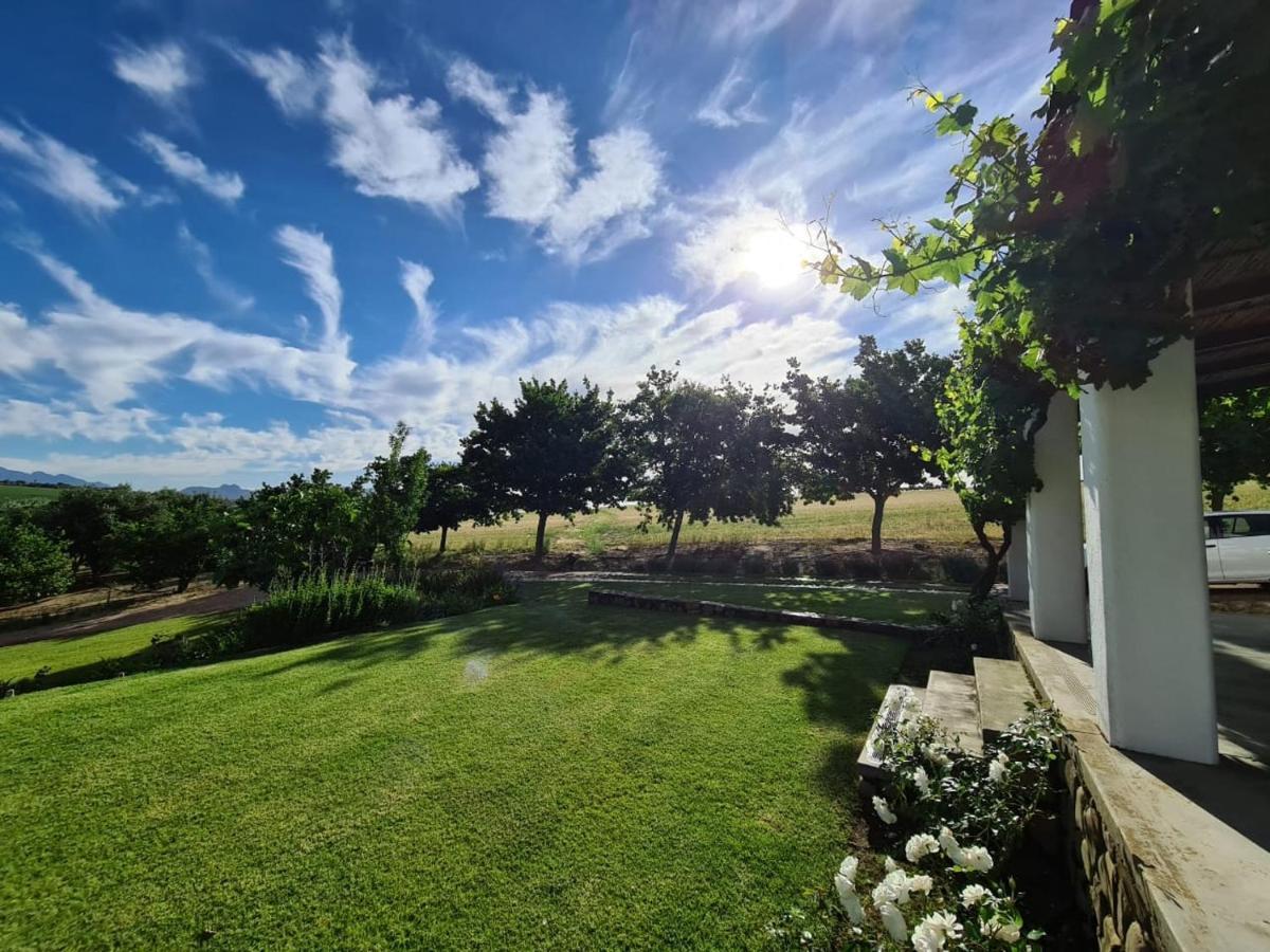 Vineyard Cottage At Bosman Wines Wellington Exterior foto